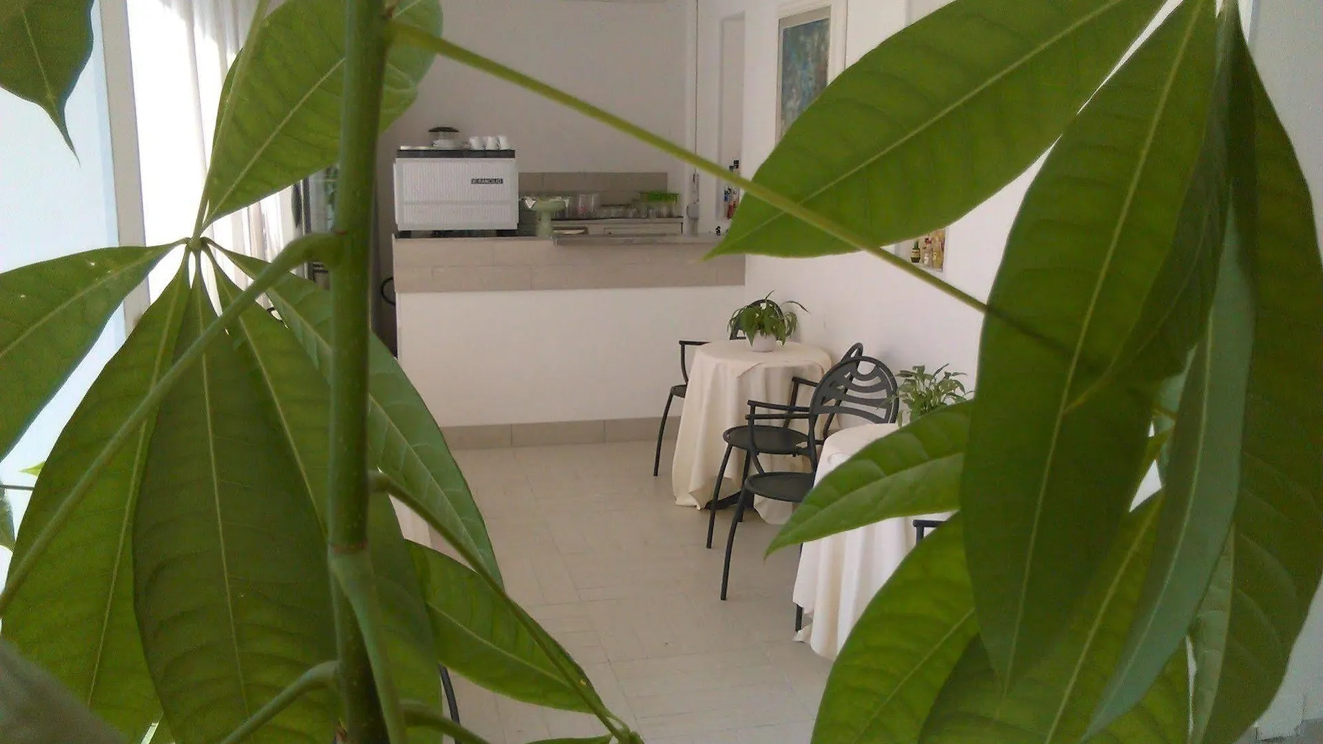 فندق Milano مارينا دي بييتراسانْت 3*,